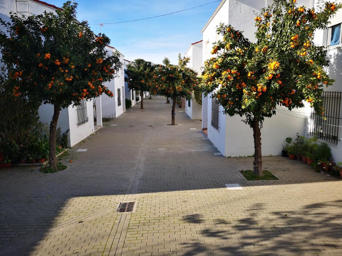 Hermoso Apartamento En Conil コニル・デ・ラ・フロンテラ エクステリア 写真